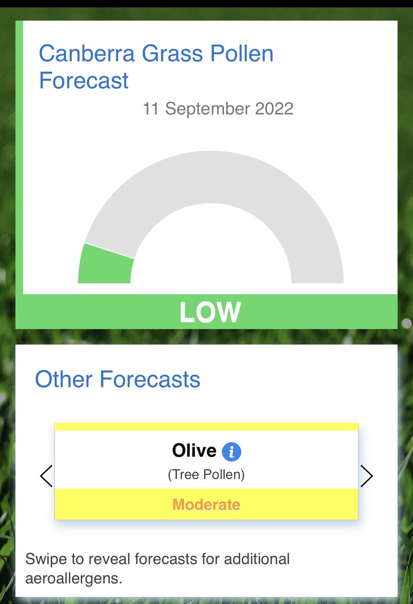 CanberraPollen's tweet photo. Important to remember that we tweet automatic updates on GRASS pollen only during the hay fever season. 

Find out what other allergenic pollen is getting up your nose on our apps #CanberraPollen and @AirRaterUTAS https://t.co/ufe9Ggs1Sf