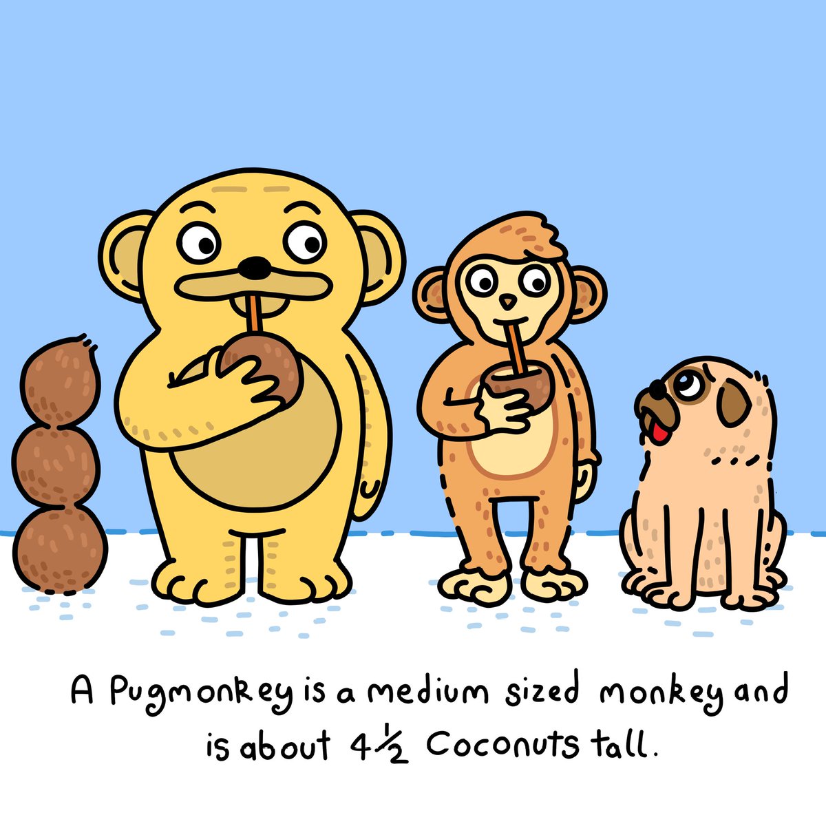 Pugmonkeys🌸 tweet media
