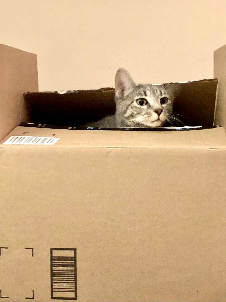 ASECS Office tweet media