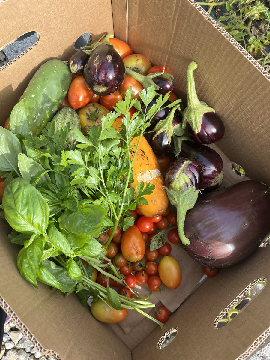 FCLA_CentralState tweet media