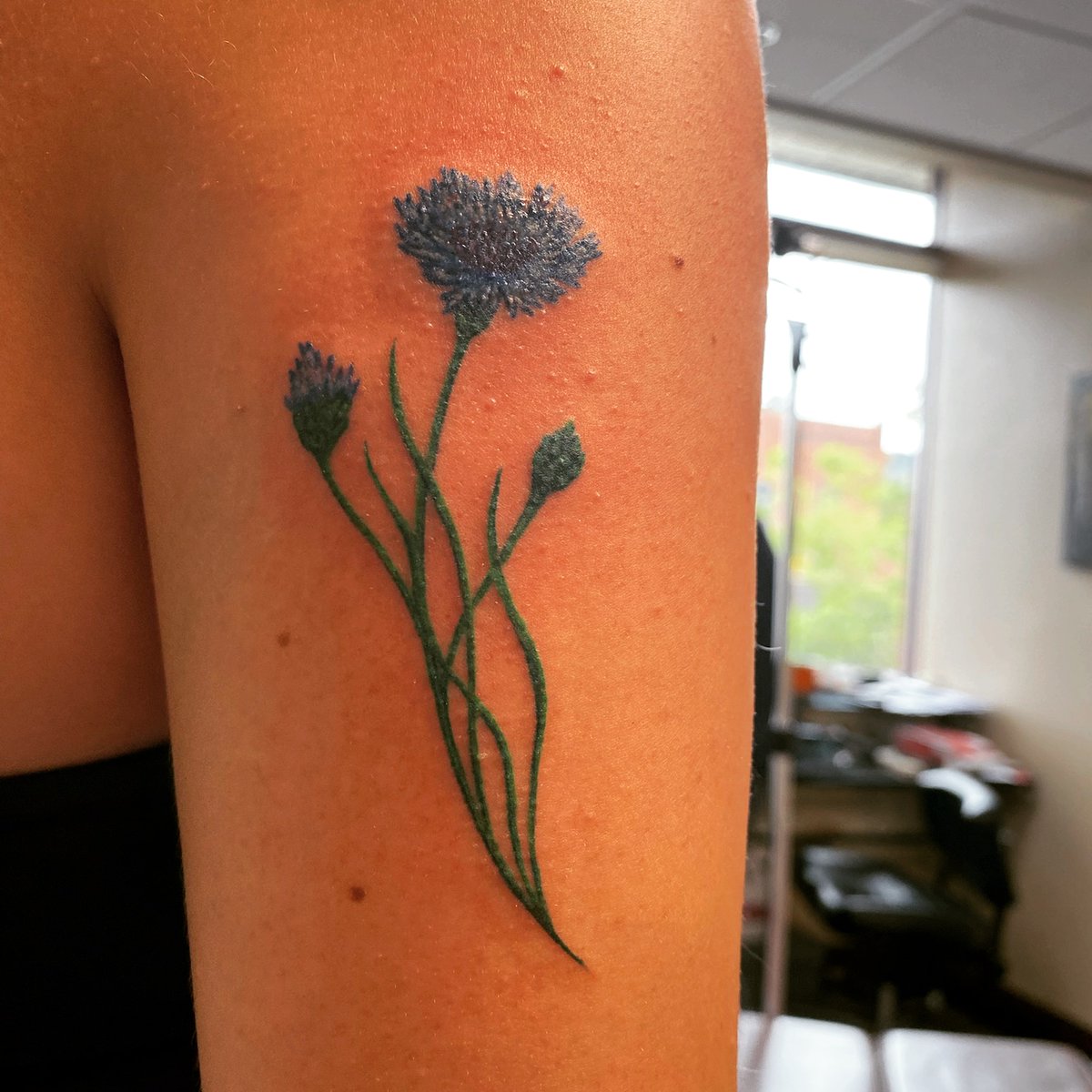 🇺🇲MountainMa64🇺🇲 tweet media