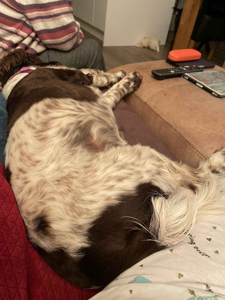 Carmen Desborough tweet media