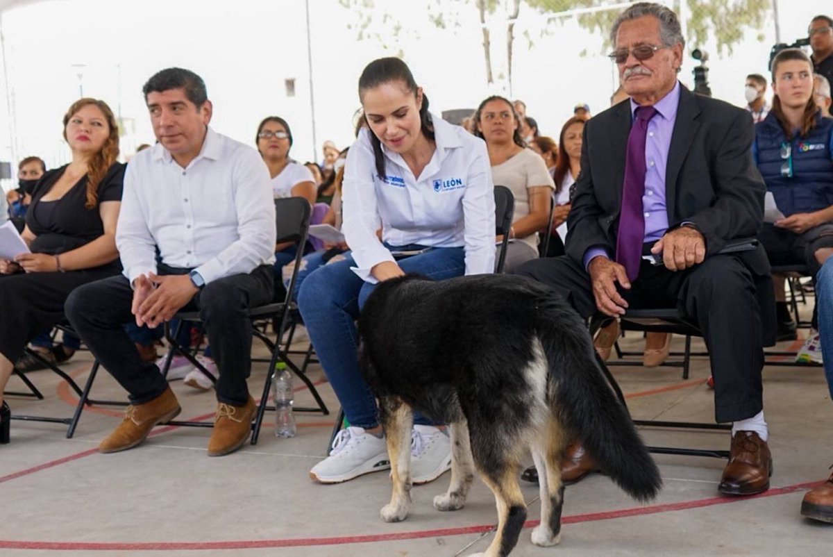 AleGutierrez_mx's tweet photo. Agradezco de corazón la participación en #MiBarrioHabla, porque el trabajo no es solo de una persona, es de muchas manos, funcionarios e iniciativa privada, los que juntos queremos que a #León🦁 le vaya mejor. https://t.co/M78mPb88Cq