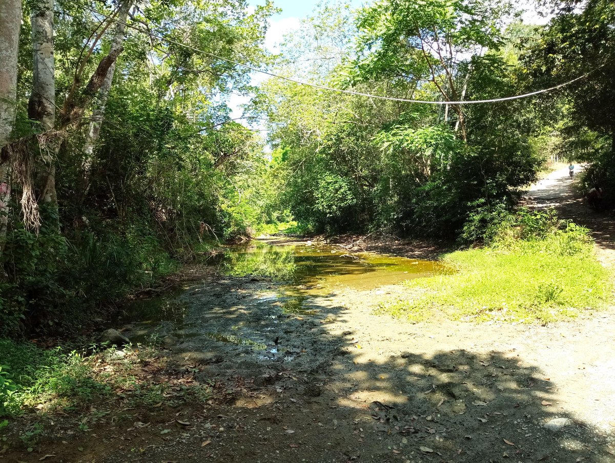 lavozdelyaque's tweet photo. Hoy en día otro cuerpo de agua dice adiós 😓 será recordado en libros, leyendas y en la memoria del serrano que bien a contribuido con su desaparición 🤷🏽♂️ ¡Sigan dandole duro a la sierra! 🇩🇴😘
P.D yo no veo mala, la idea de la presa las placetas 😔🔥
#riojanico #janico #santiago https://t.co/Oh8gROVoyd