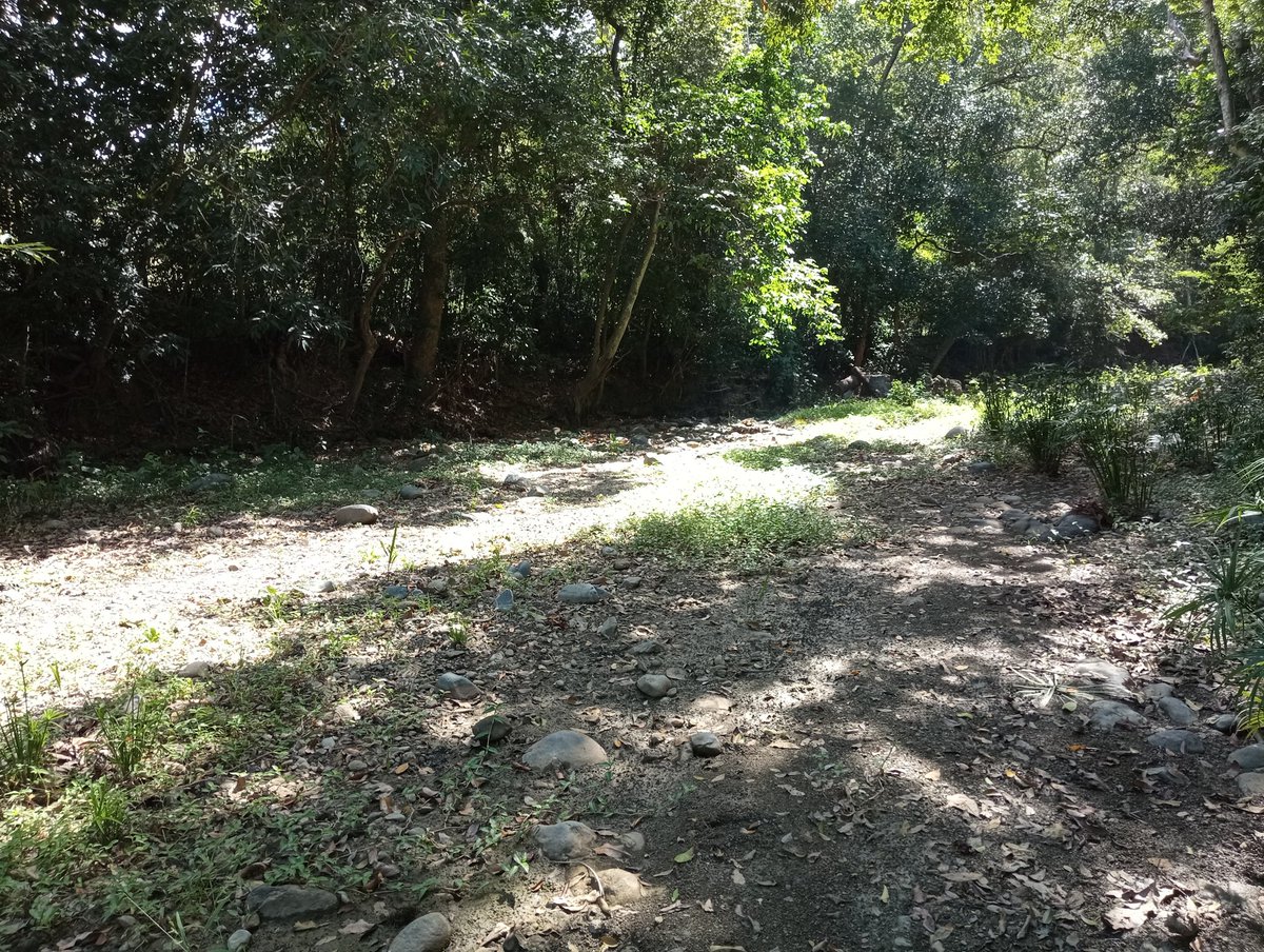 lavozdelyaque's tweet photo. Hoy en día otro cuerpo de agua dice adiós 😓 será recordado en libros, leyendas y en la memoria del serrano que bien a contribuido con su desaparición 🤷🏽♂️ ¡Sigan dandole duro a la sierra! 🇩🇴😘
P.D yo no veo mala, la idea de la presa las placetas 😔🔥
#riojanico #janico #santiago https://t.co/Oh8gROVoyd