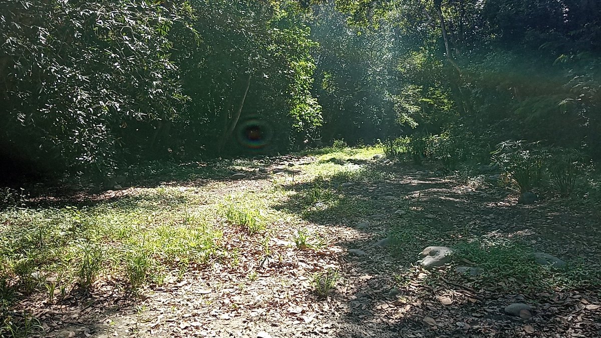 lavozdelyaque's tweet photo. Hoy en día otro cuerpo de agua dice adiós 😓 será recordado en libros, leyendas y en la memoria del serrano que bien a contribuido con su desaparición 🤷🏽♂️ ¡Sigan dandole duro a la sierra! 🇩🇴😘
P.D yo no veo mala, la idea de la presa las placetas 😔🔥
#riojanico #janico #santiago https://t.co/Oh8gROVoyd