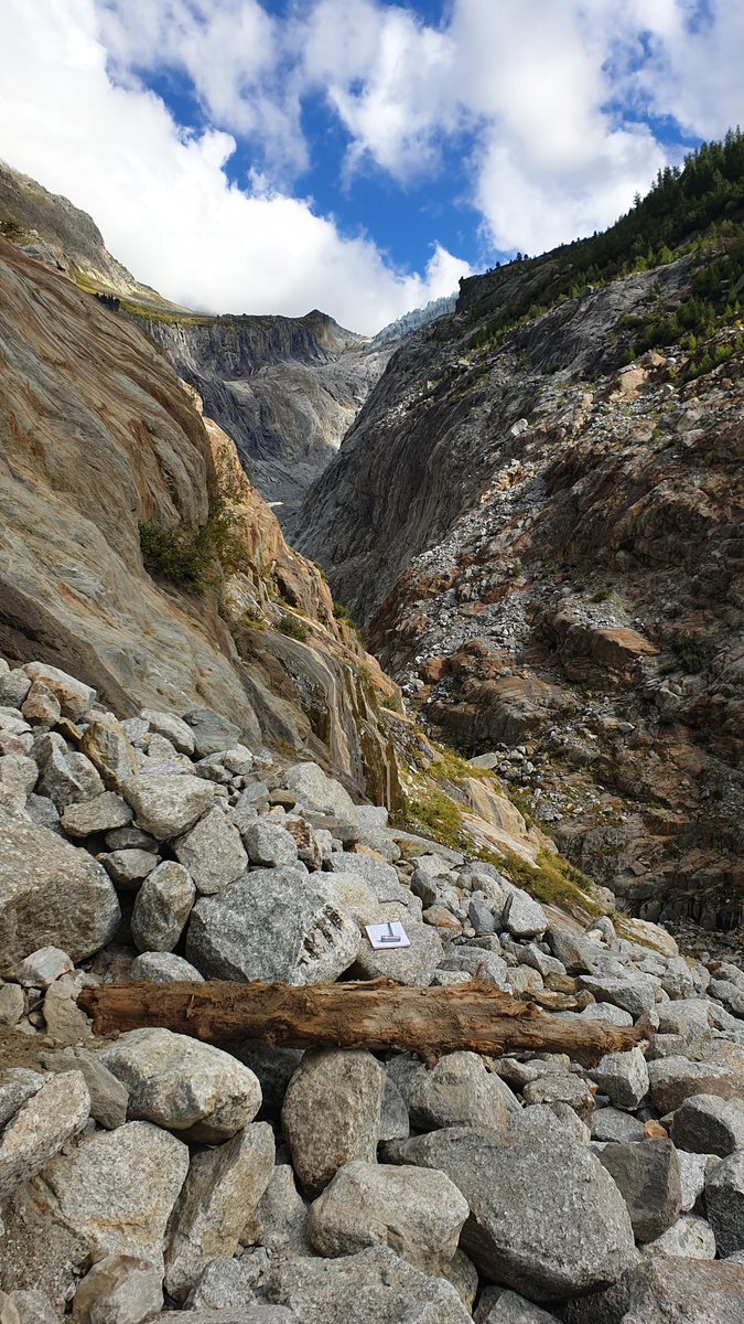 subfossilguy's tweet photo. Impressions from today at the beautiful Argentière #glacier gorge site
#subfossil #wood #Chamonix https://t.co/OWbD39W7Hh