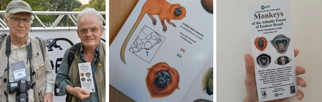 SaveTheGLT's tweet photo. The new Guide to Monkeys of the Atlantic Forest features Golden Lion Tamarins and 24 other species in the biome. The publication was launched during the Brazilian Congress of Primatology, August 27th-31st, Mato Grosso, Brazil. Photos: Duda Menegassi/AMLD
#savetheGLT #AMLD30years https://t.co/OhG0p1VSqM