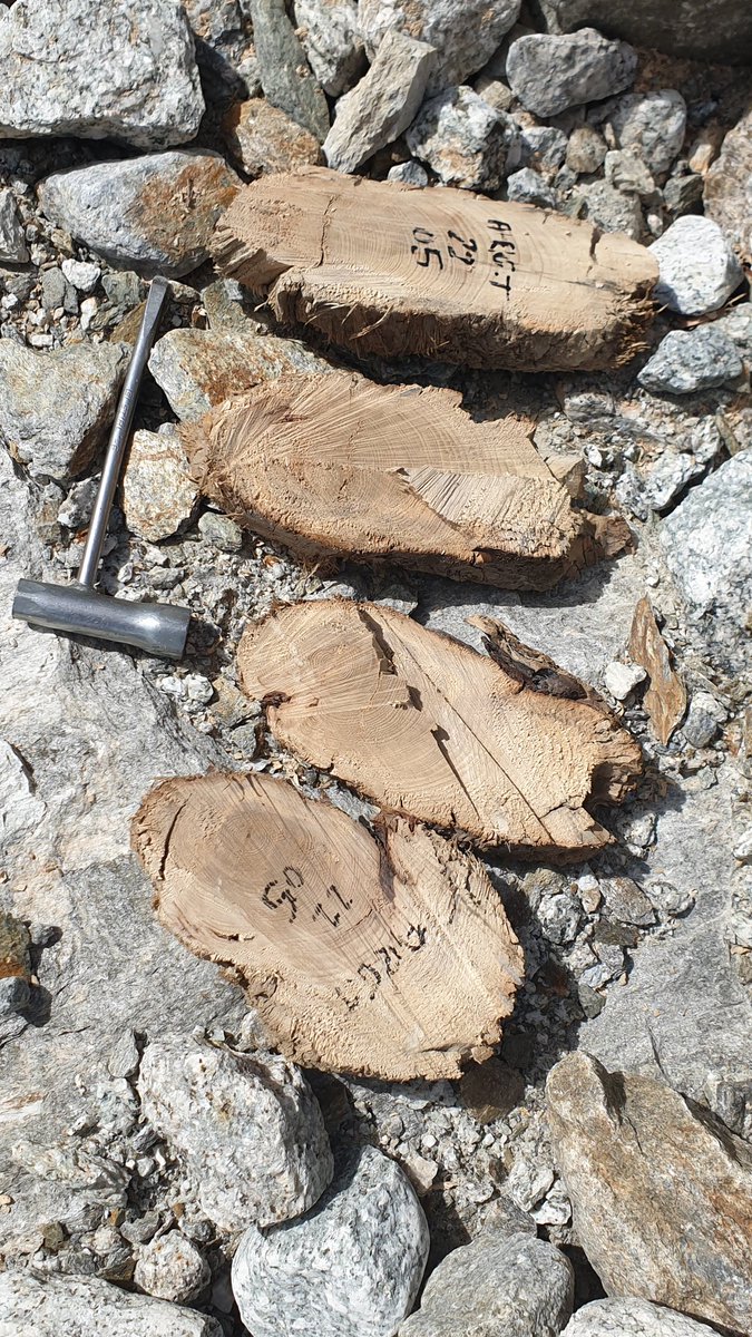 subfossilguy's tweet photo. Impressions from today at the beautiful Argentière #glacier gorge site
#subfossil #wood #Chamonix https://t.co/OWbD39W7Hh