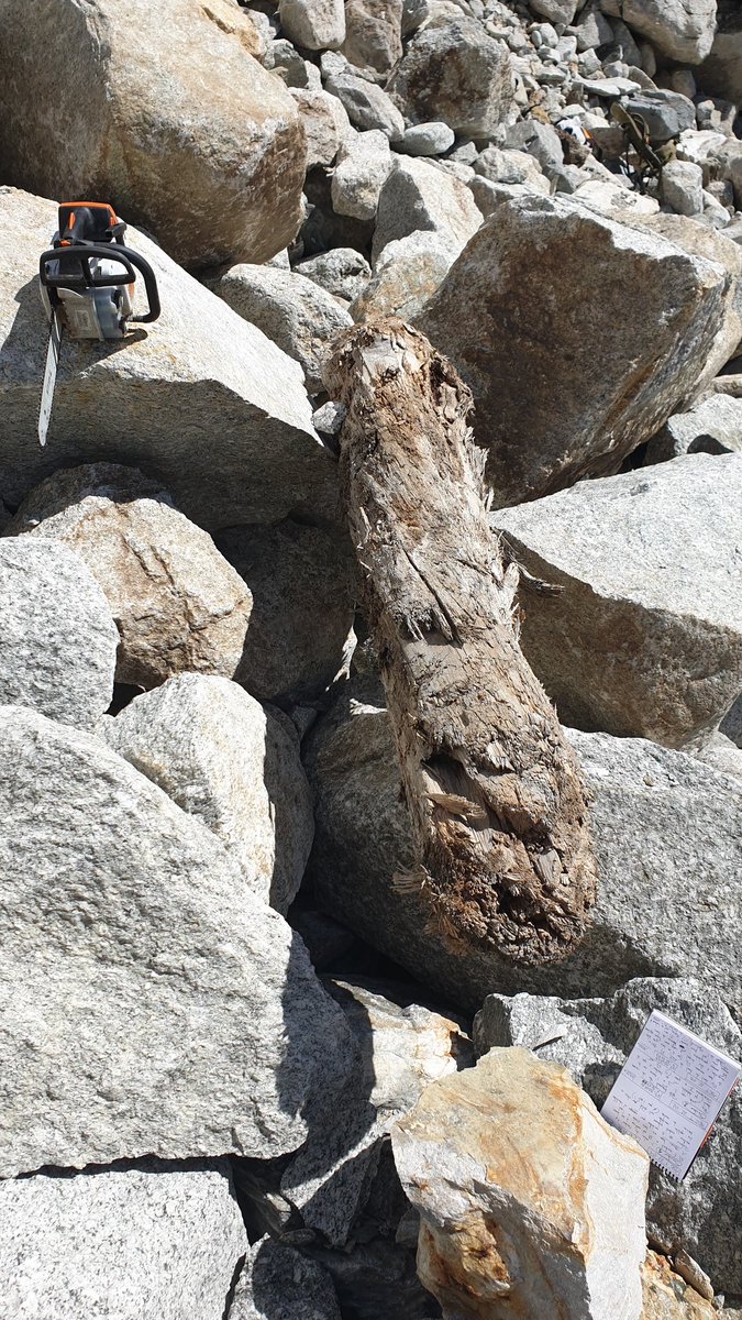 subfossilguy's tweet photo. Impressions from today at the beautiful Argentière #glacier gorge site
#subfossil #wood #Chamonix https://t.co/OWbD39W7Hh