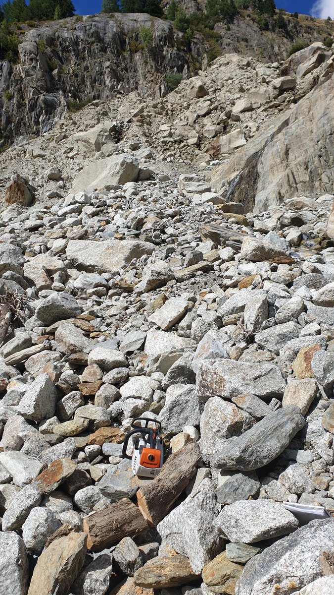 subfossilguy's tweet photo. Impressions from today at the beautiful Argentière #glacier gorge site
#subfossil #wood #Chamonix https://t.co/OWbD39W7Hh