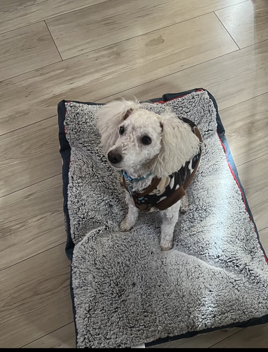 The Real Mr. Hitchcock tweet media