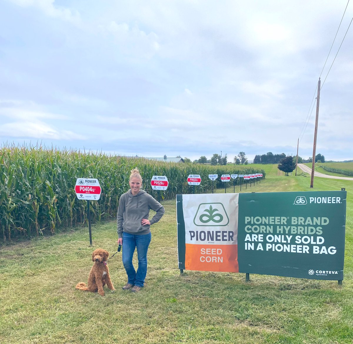 Aricka Wech tweet media