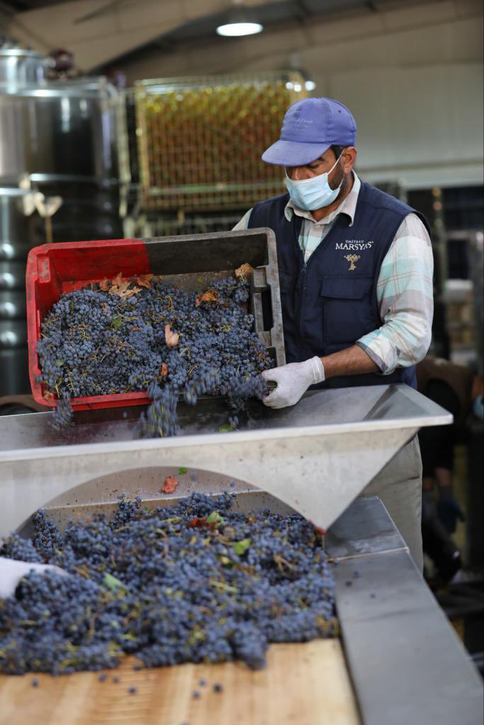 Sandro Johnny Saadé tweet media