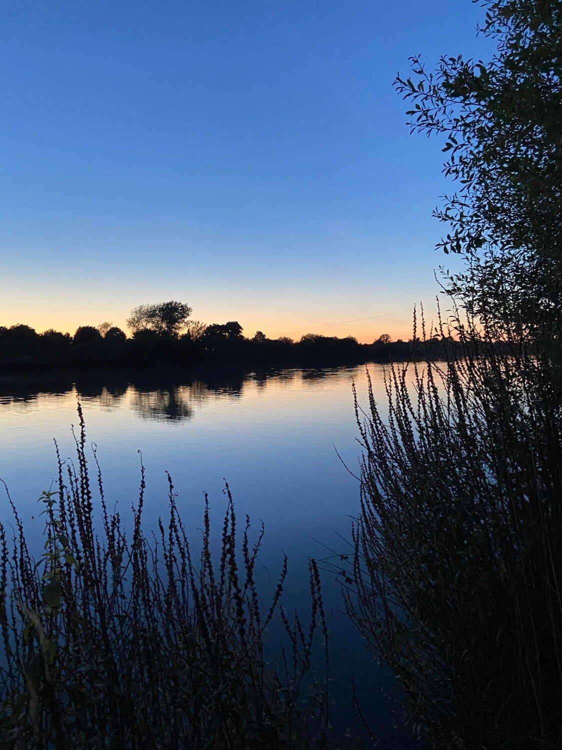 Nude-ercise on Twitter: "#HarvestMoon #skinnydip this evening with 2 other lovely #naked ladies