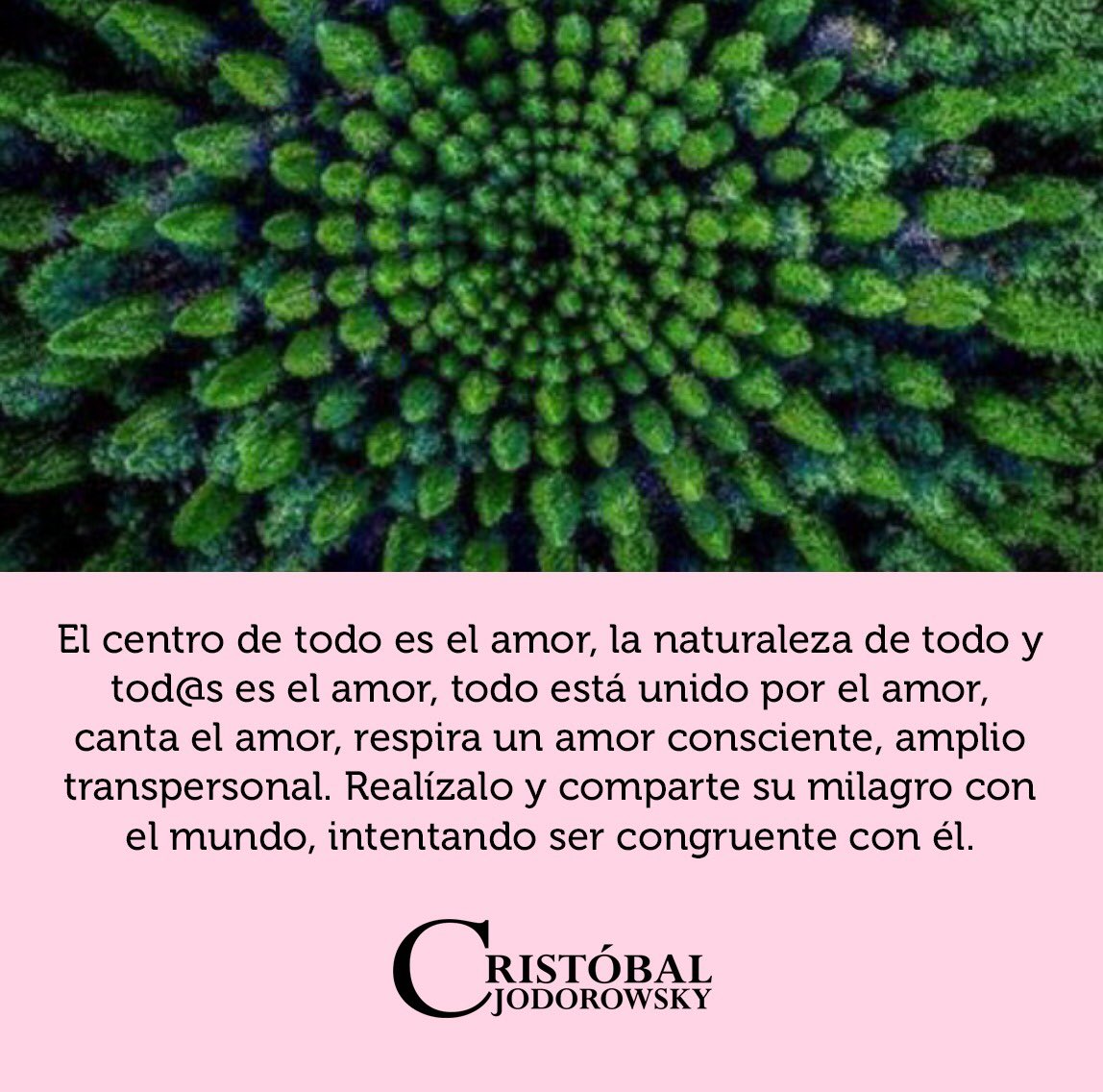 Cristóbal Jodorowsky (@cristobaljod) on Twitter photo 