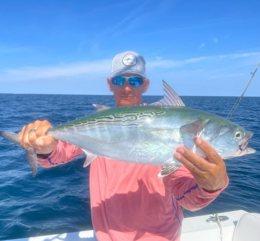 Saltwateronfly's tweet photo. Nice, Great colorization on the Albie
@captainjoehughes
The Albie bite has been good this month! #captainjoehughes  #seaislecity #fishingguide #fishing #seaislebait  #flyfishing #saltwaterflyfishing #fluke #stripedbass #striper  #sharkfishing  #albies #falsealbacore https://t.co/61aBS70kdm
