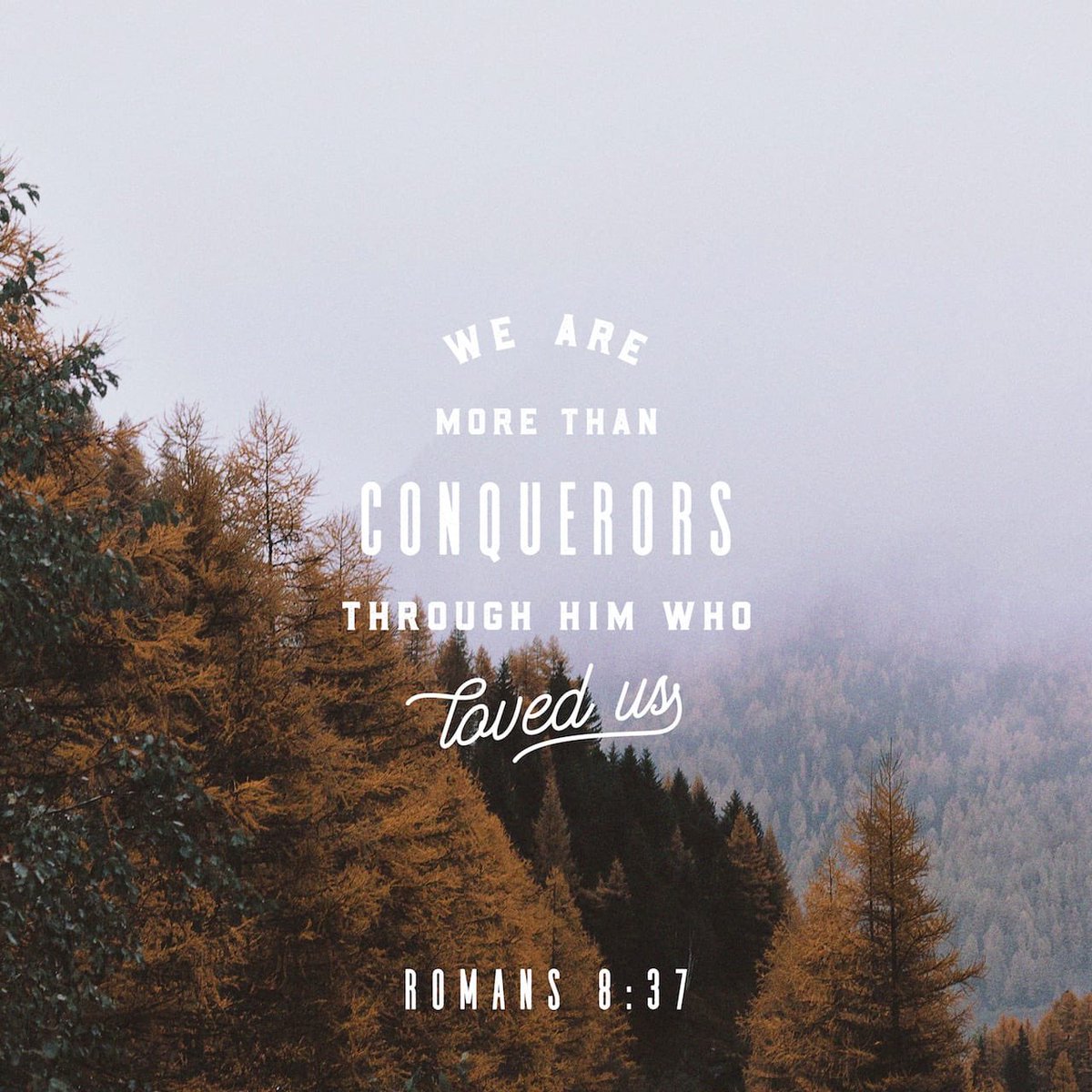REACHSarasota's tweet photo. We are more than conquerors through Christ! https://t.co/unMUsJLFOY
