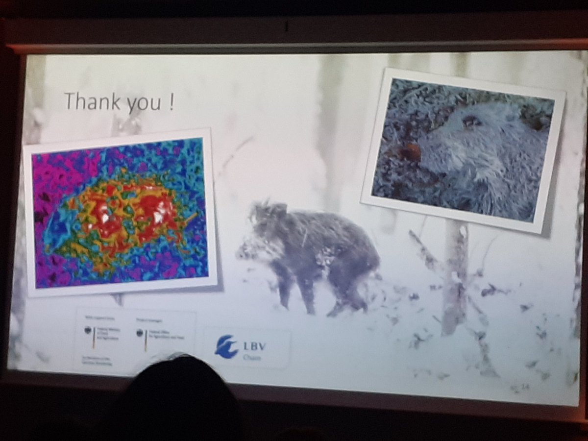 Mirant fotos i recordant ponències enormement interessants al <a href="/WildBoar2022/">International Symposium on Wild Boar & other Suids</a>. Un esdeveniment internacional amb 25 països representats que m'ha permès  aprendre molt! Com també  compartir coneixements d'entomologia forense entre d'altres. Felicitats a l'organització!