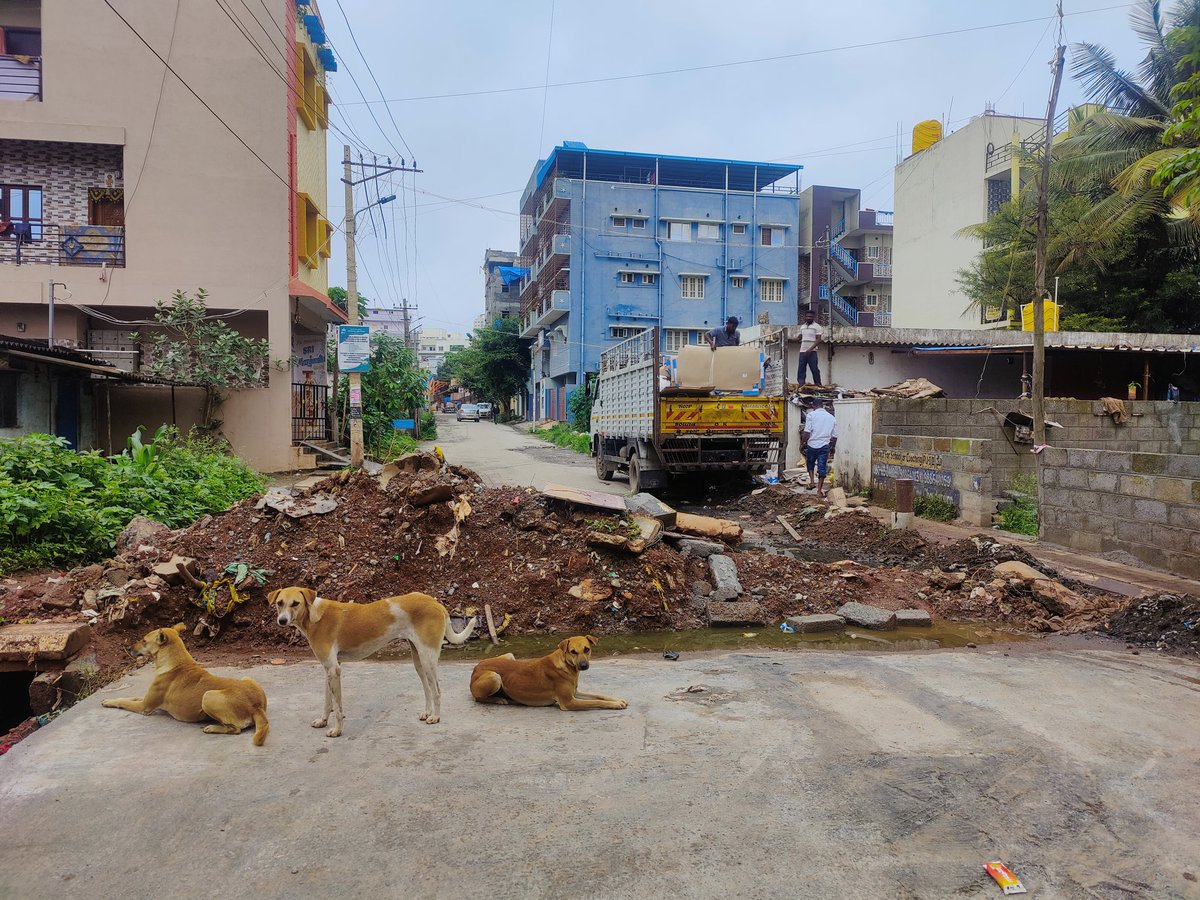 amitk203's tweet photo. @BBMPCOMM Dear sir,when this is going to end .Area-Gollahalli, Electronic City phase 1.Because of this kids have difficulty going to school .It has been the situation for 14 days .It needs to be cleared immediately. https://t.co/4eL2J9Pzm0