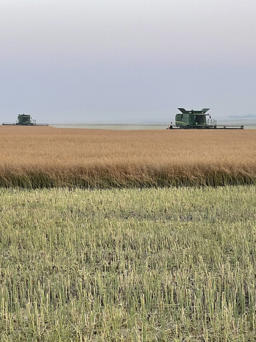 Ken Lepp 🇨🇦 tweet media