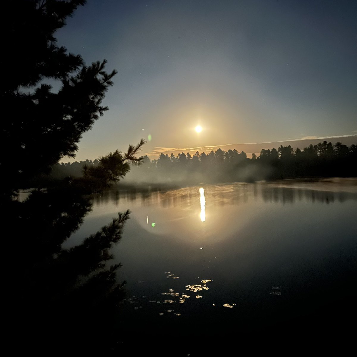 BobMacneal's tweet photo. Good night moon https://t.co/RW3knZAI56