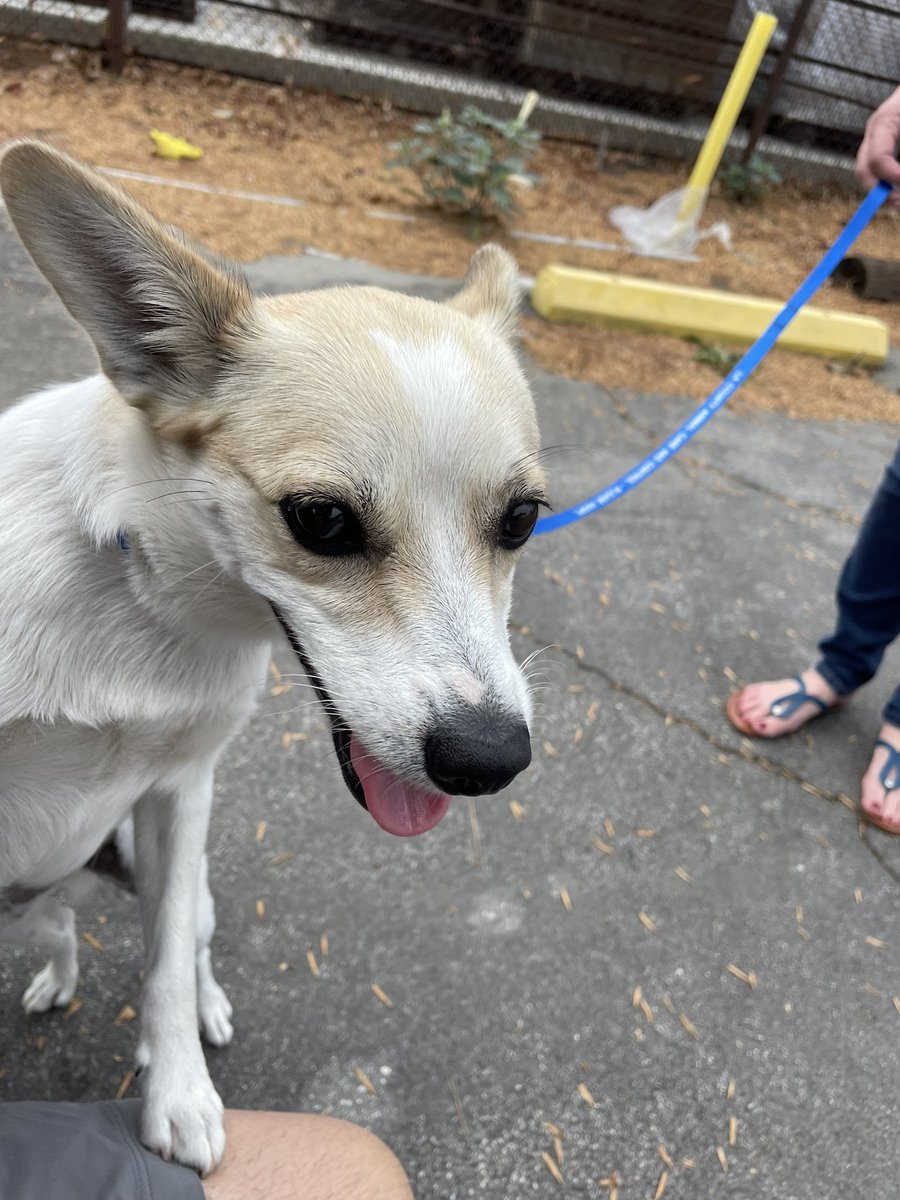 Mike Magboo tweet media