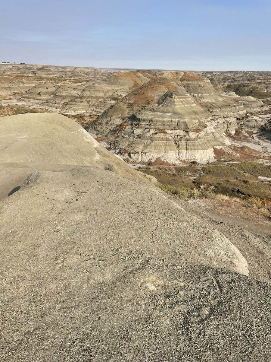 Laurel Beaton tweet media