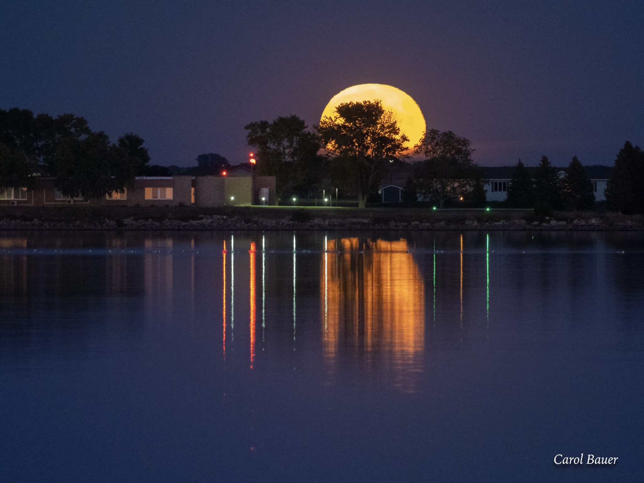 Carol Bauer on Twitter "Graceville MN harvestmoon BobVanDillen