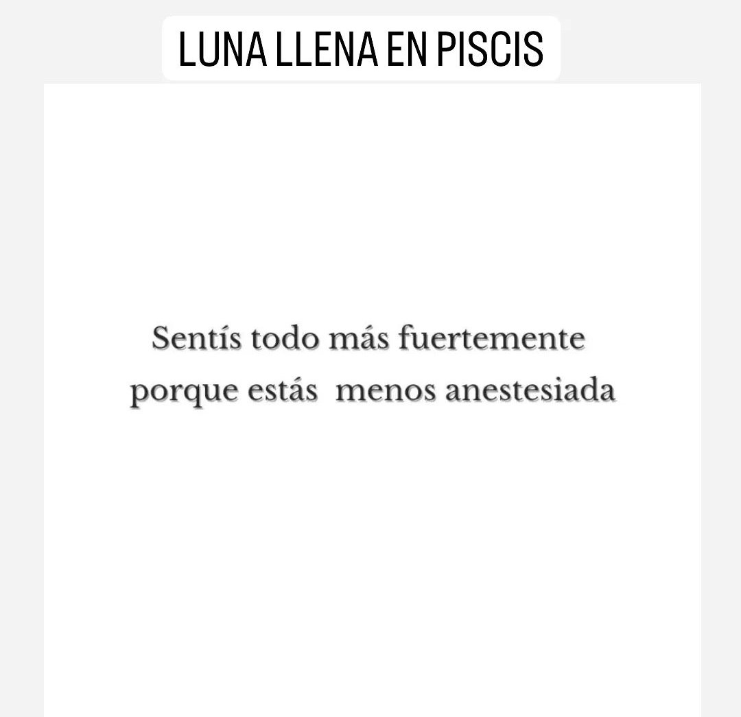 GerkPame's tweet photo. Listoooo, cerrame el sábado 😬, hoy me caí y me di tremendo palo, después me bañé en cerveza, nota mental: las manijas de las alacenas no son abridores de birra 🤪 https://t.co/Iyyp46ZZZZ