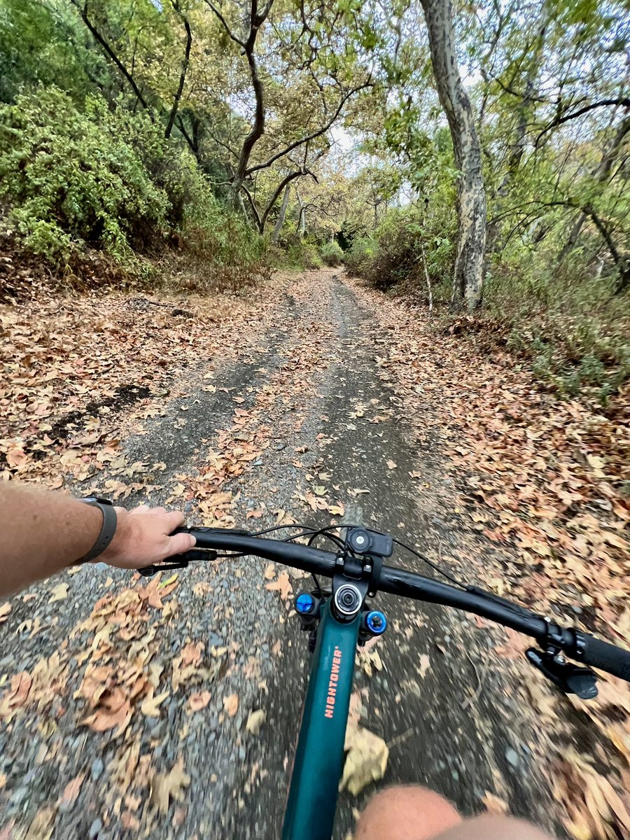 It was somehow tropically humid and autumnal