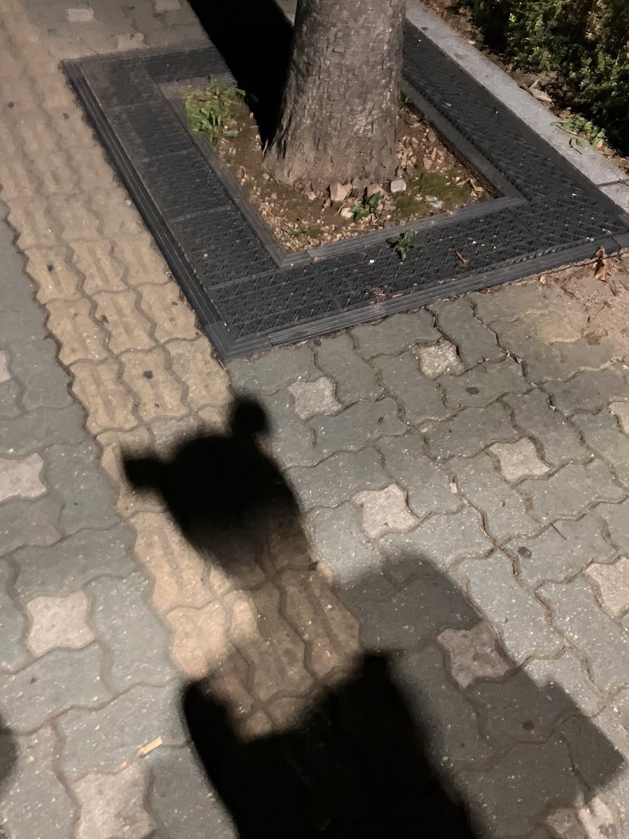 ROSY99 (@_rosygirl) on Twitter photo 