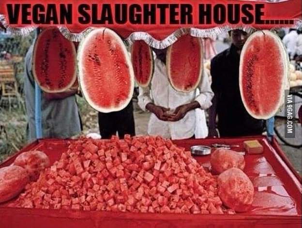 Jay Johnson tweet media