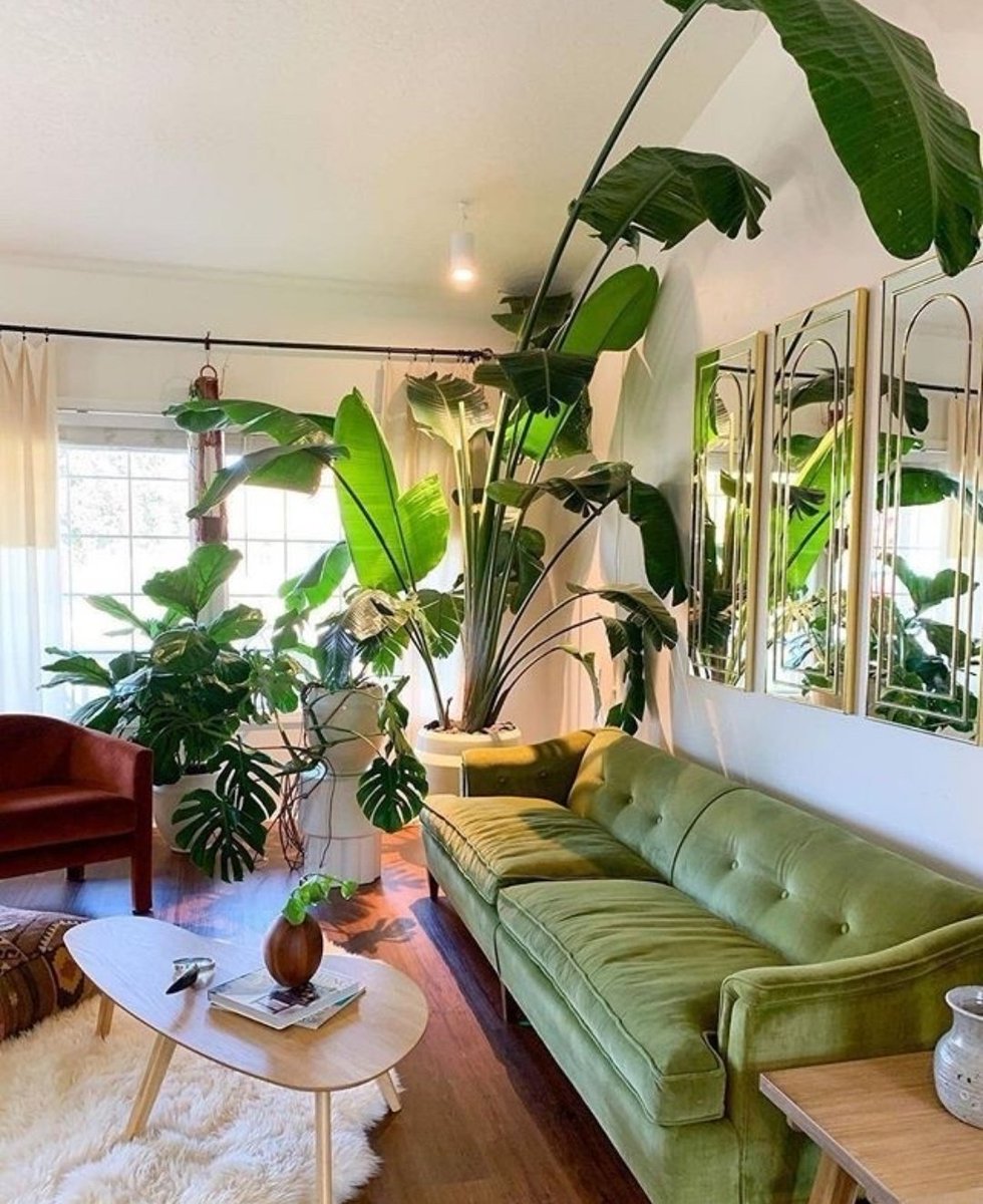This living room &gt;&gt;&gt;