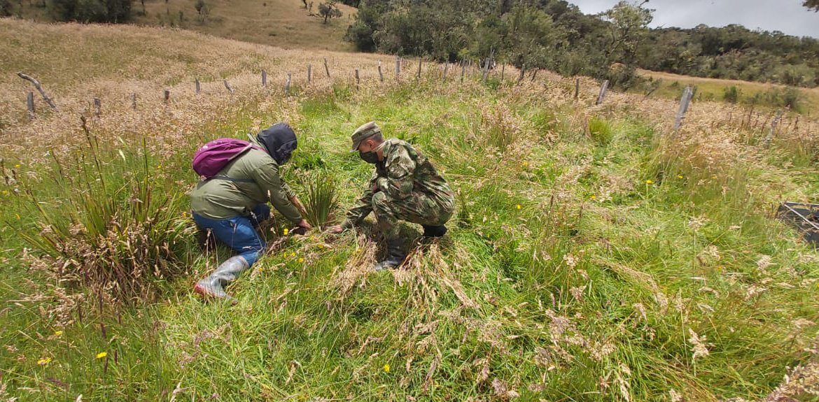 UltimaHoraBoy's tweet photo. Tropas del Batallón de Alta Montaña No 2 General Santos Gutiérrez Prieto de la Primera Brigada del Ejército Nacional, apoyaron a la alcaldía municipal y comunidad de El Espino #Boyacá sembrando 500 plantas en la vereda El Tobal, conservacion de los recursos naturales. https://t.co/XEcFgyba6f