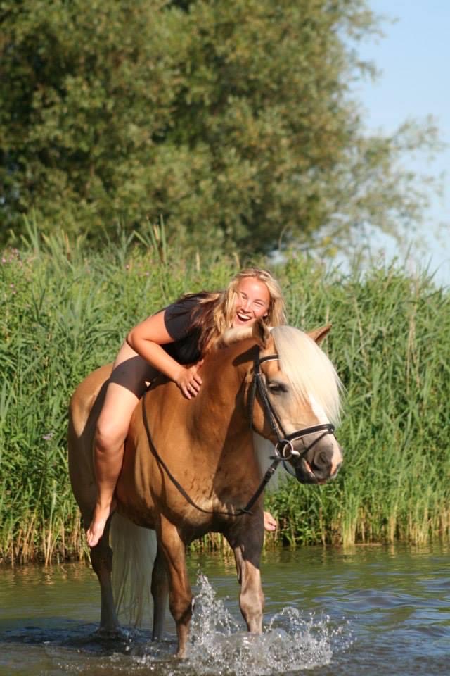 Stieffie's tweet photo. Dit paardje is overleden..
Ik kan me niet voorstellen hoe het voelt voor een paardenmeisje zoals @Sabrientje2..
Maar zo gelukkig als op deze foto.. dat is mijn doel in het leven..
#RIPMacho #macho #paardenmeisje
#pureliefde https://t.co/debgLQcN7u