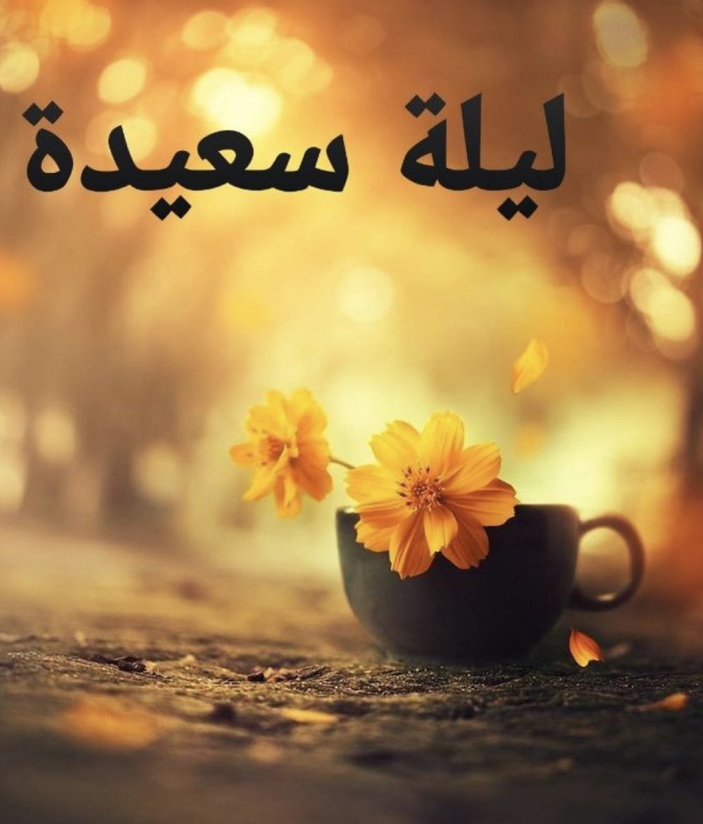 ميني tweet media