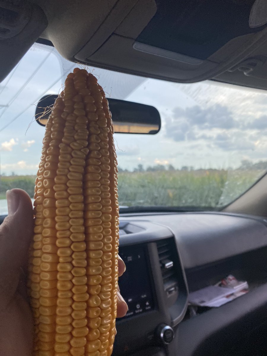 Jason Mauck tweet media