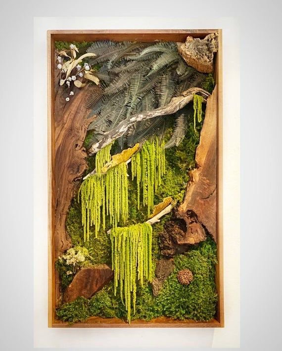 idealighting's tweet photo. Hanging jungle,wall #art decoration #moss with walnut Shine your home’s space. https://t.co/BjiGc0hB6G