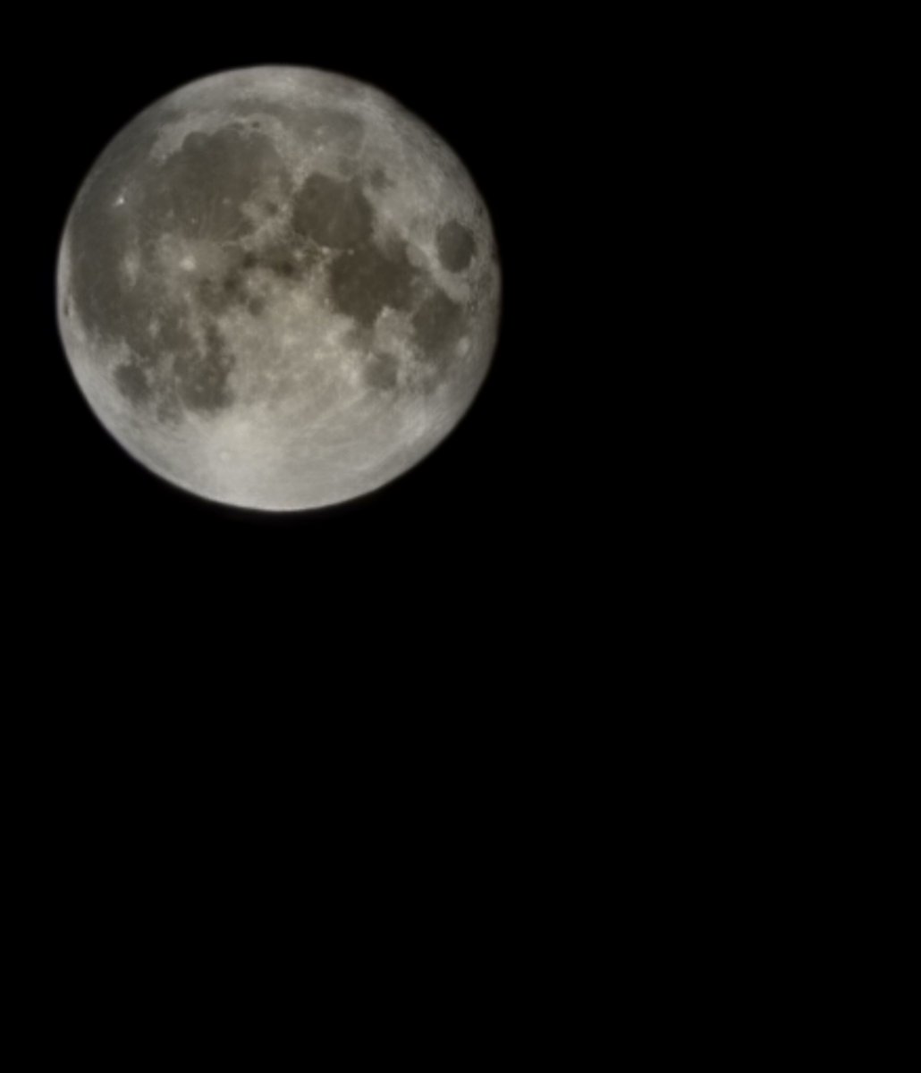 Robert Bewley tweet media