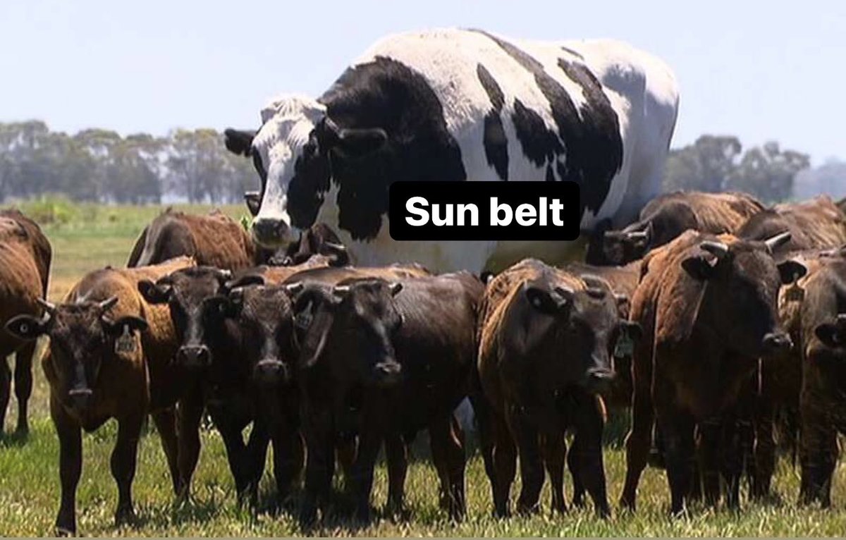 Were joking around and having a good time online but actually