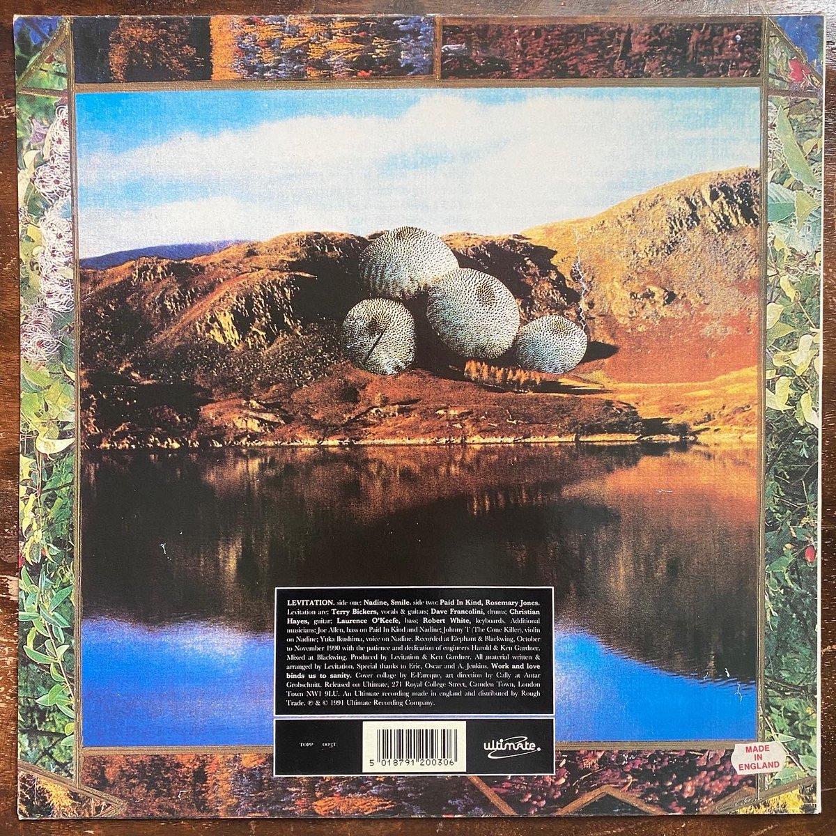 MilloSalgado's tweet photo. #Levitation #CoppeliaEP #vinylrecords #vinylcollection #vinylcommunity #vinylcollector #recordcollection #psychedelicrock #terrybickers https://t.co/9Z3UMVR539