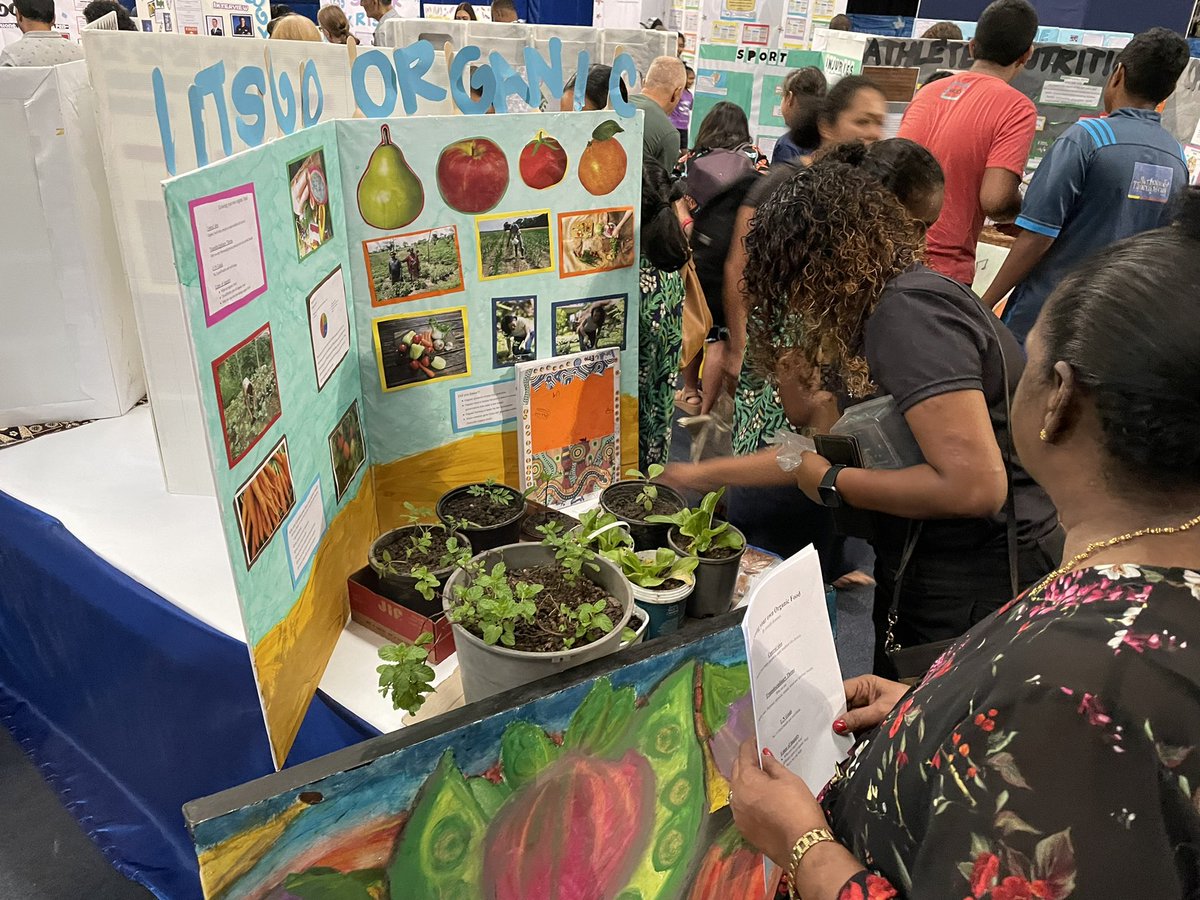 DanseyRenee's tweet photo. A fantastic #pypexhibition guided by @teachlai @JanaKay_FJ The students were amazing and were confidently able to inquire into their passions! #pyp #ib #issfj #pyp6 https://t.co/hh3BrgfeL0