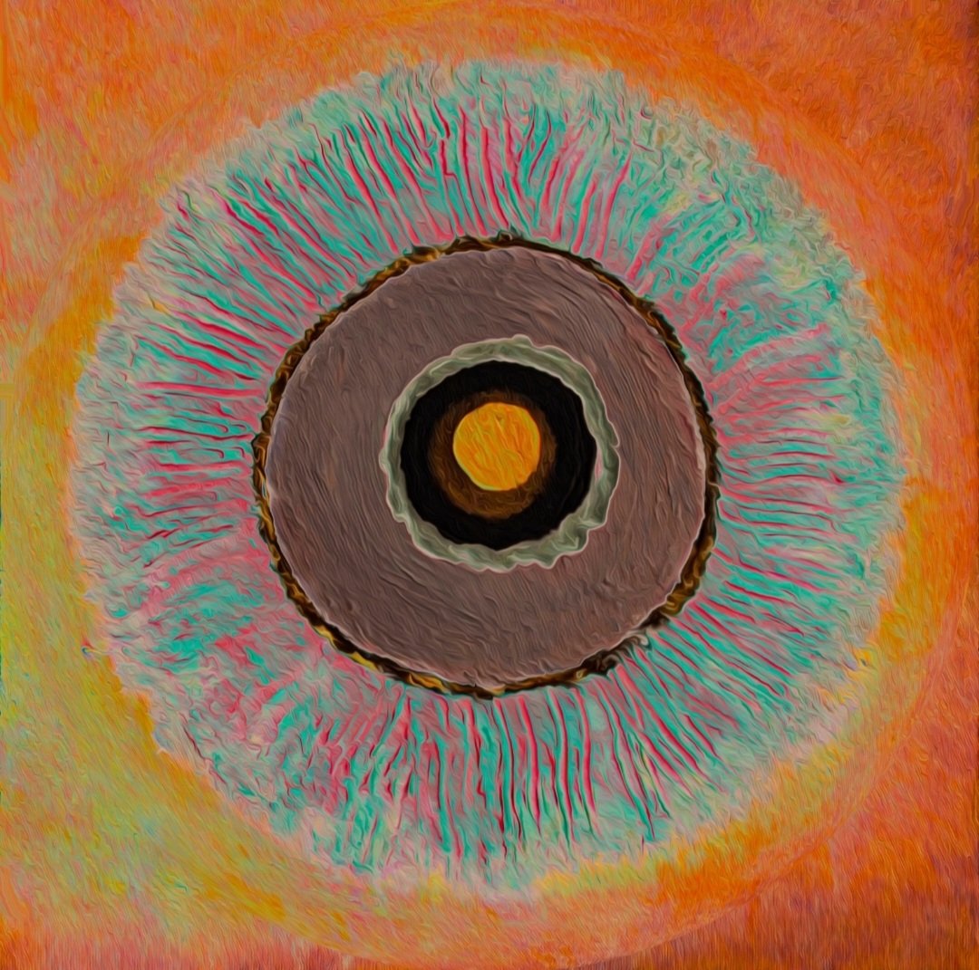 Mana🌹NFT.NYC24 tweet media