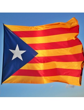 xaviguma's tweet photo. Visca Catalunya lliure #11s Independència https://t.co/oE6pBEw7C9