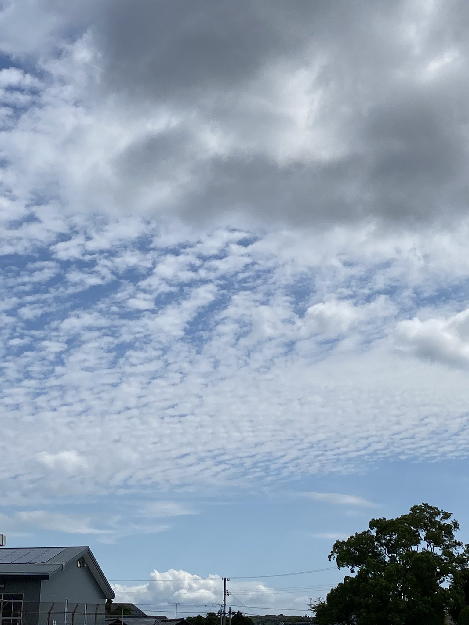 つむじ風 Twitter Search Twitter