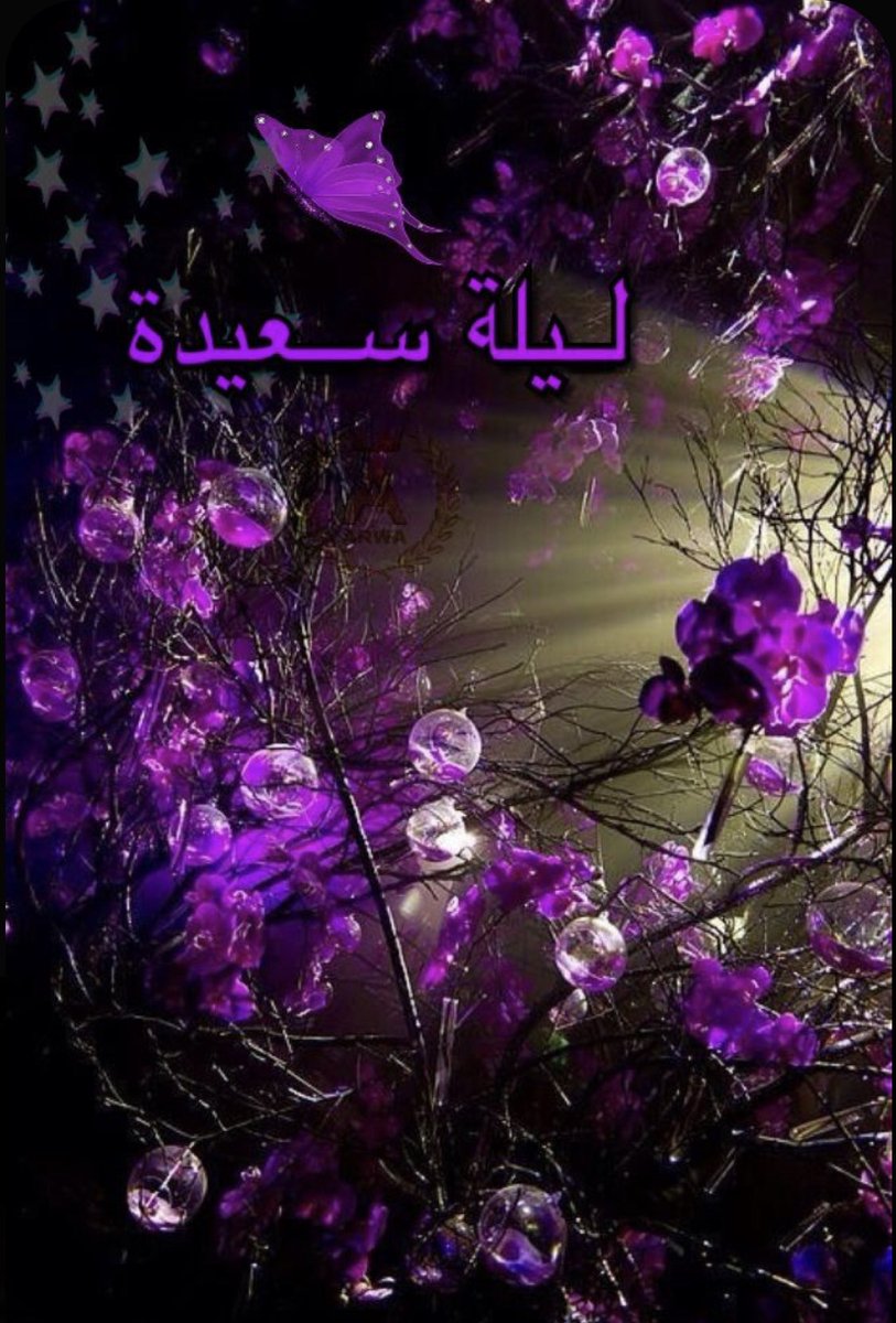 ميني tweet media