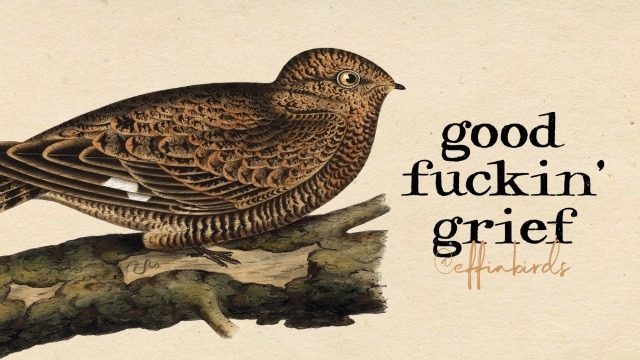 Effin' Birds tweet media