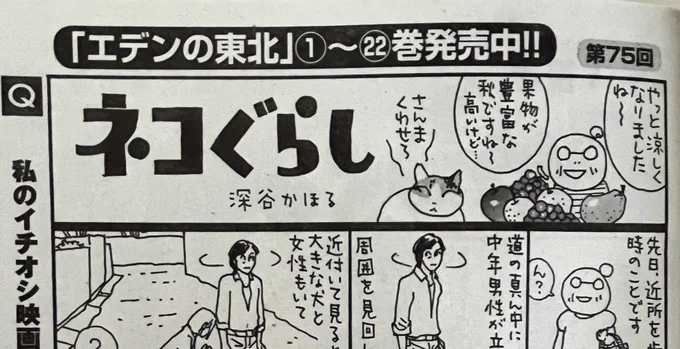 11日は、まんがライフオリジナルの発売日。
1枚ですが私のネコぐらしも載ってます。
今月は柘植文先生の「中年女子画報」と続いていてなんだかうれしい。
面白くてハッピーな漫画がぎっしり
読み応えある一冊ですよ
#竹書房 #まんがライフオリジナル 
