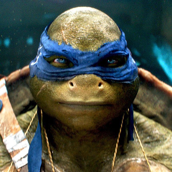 oscarso_'s tweet photo. Donatello o Michelangelo ni Puta idea la verdad https://t.co/xOnOH6v0rg